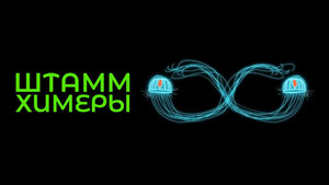 Штамм химеры