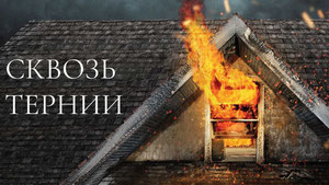 Сквозь тернии