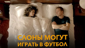 Слоны могут играть в футбол