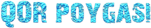 Qor poygasi