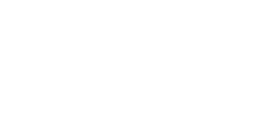 Спецотряд «Форс»