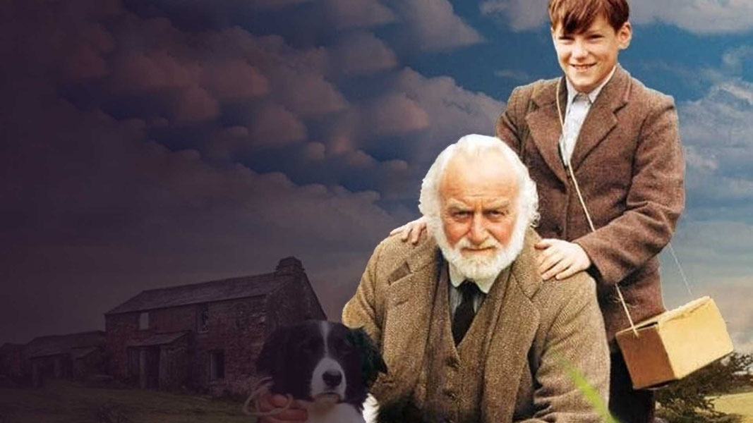 Спокойной ночи, мистер Том