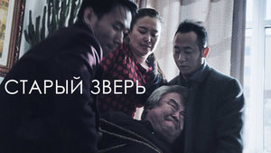 Старый зверь