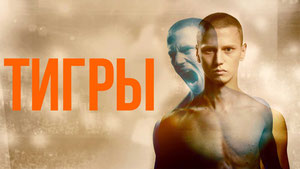 Тигры