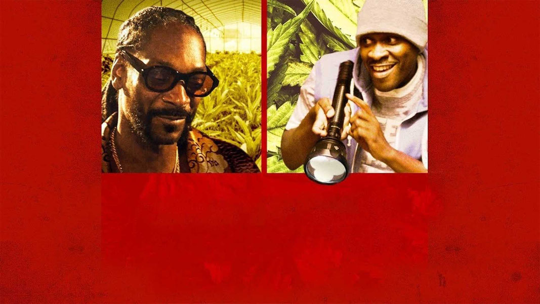 Только не попадись