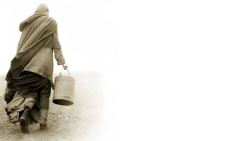 Туринская лошадь