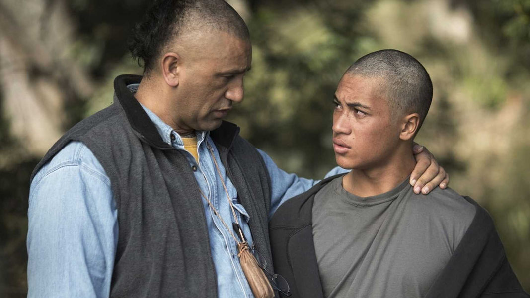 Тёмная лошадка