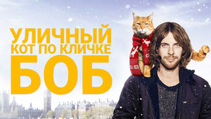 Уличный кот по кличке Боб