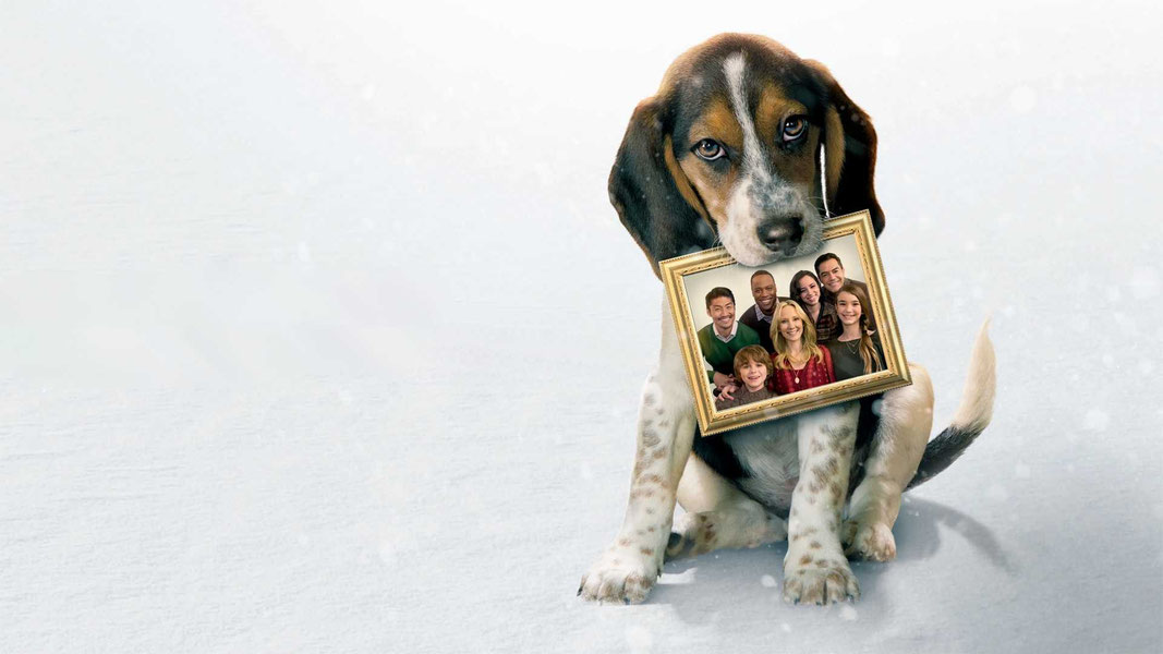 В канун Рождества