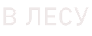 В лесу