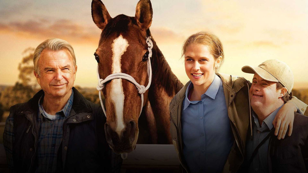 В погоне за ветром