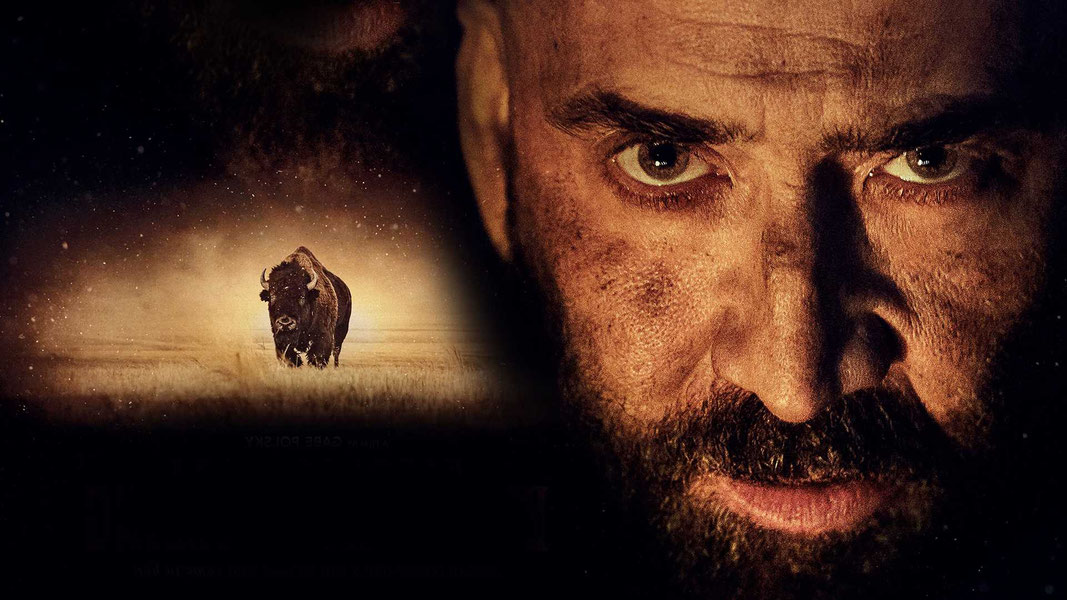 В поисках зверя