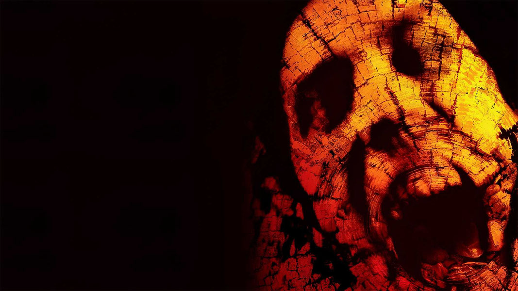 Ведьма из Блэр 2: Книга теней