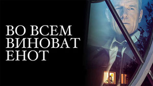 Во всем виноват енот