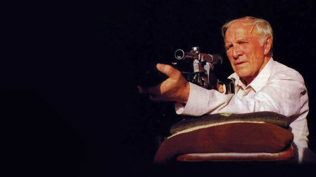 Ворошиловский стрелок