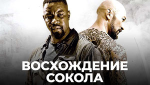 Восхождение Сокола