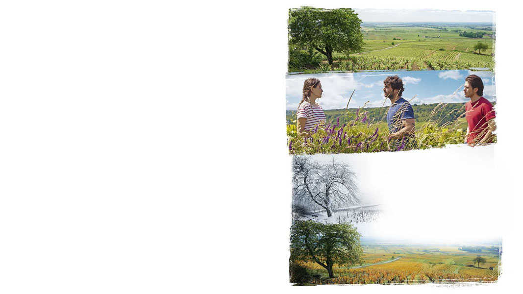 Возвращение в Бургундию