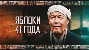 Яблоки 41 года