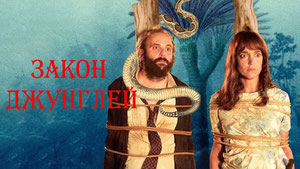 Закон джунглей