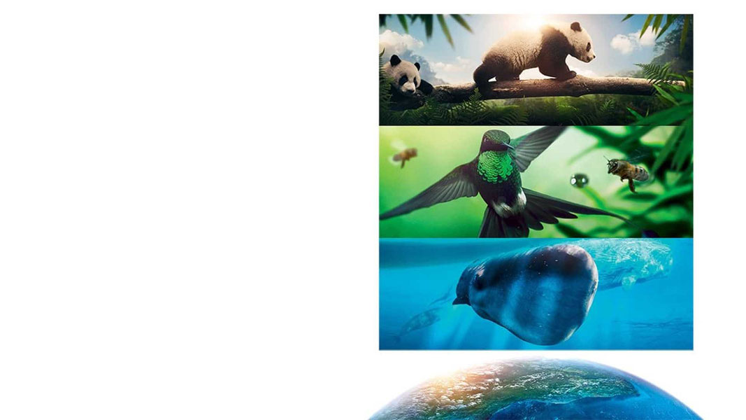 Земля: Один потрясающий день