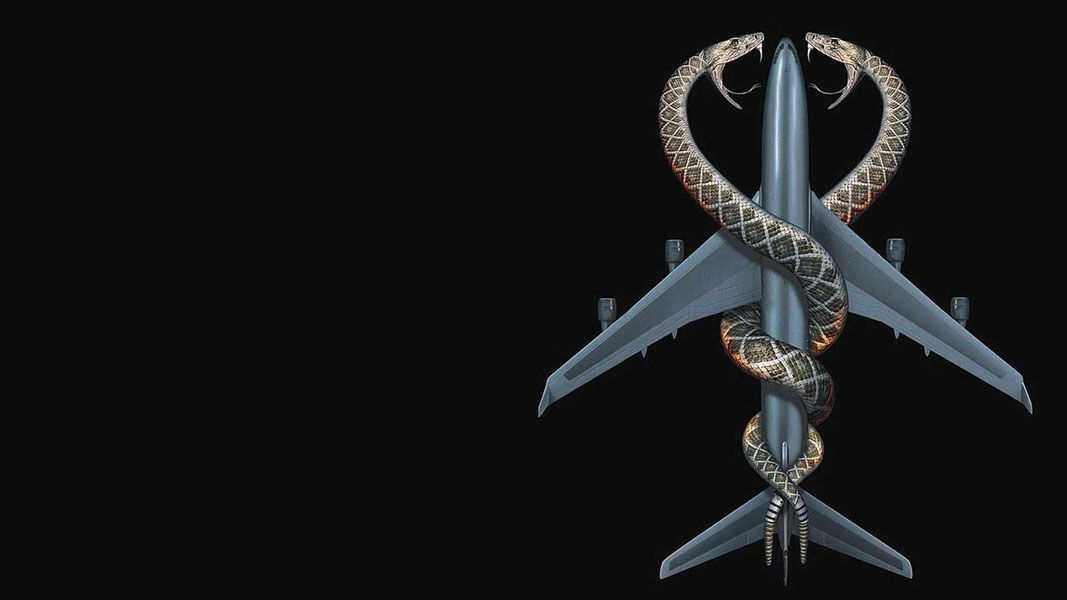 Змеиный полет