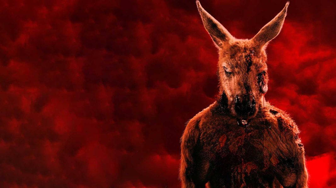 Зомби-кенгуру