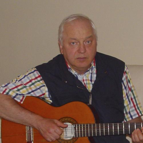 Сергей Никитин