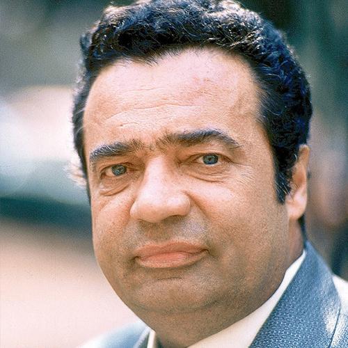 Владимир Меншик