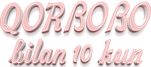 10 дней с Сантой