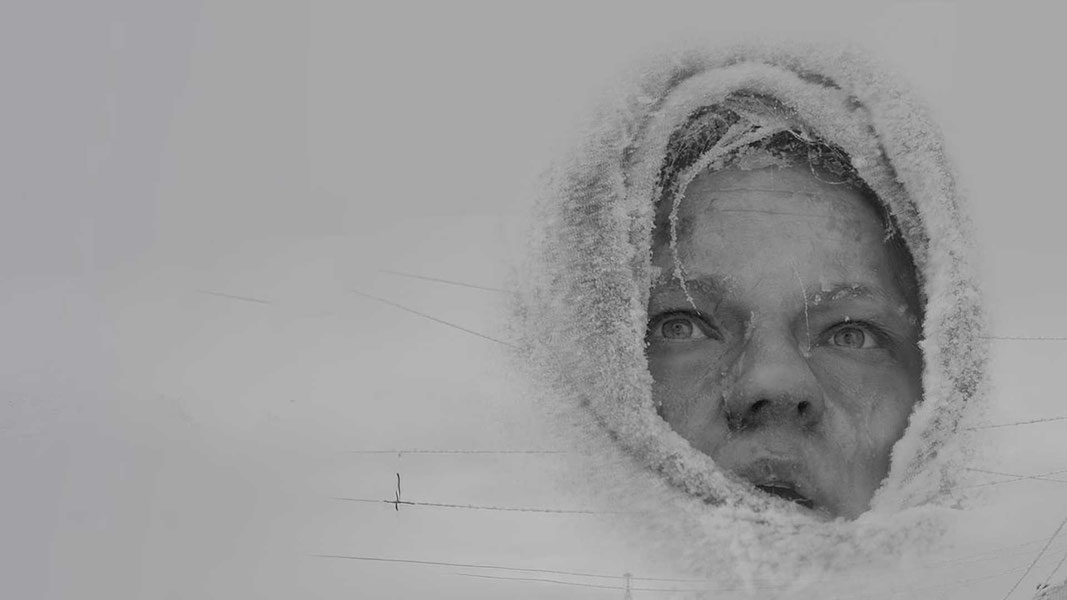 Блокадный дневник