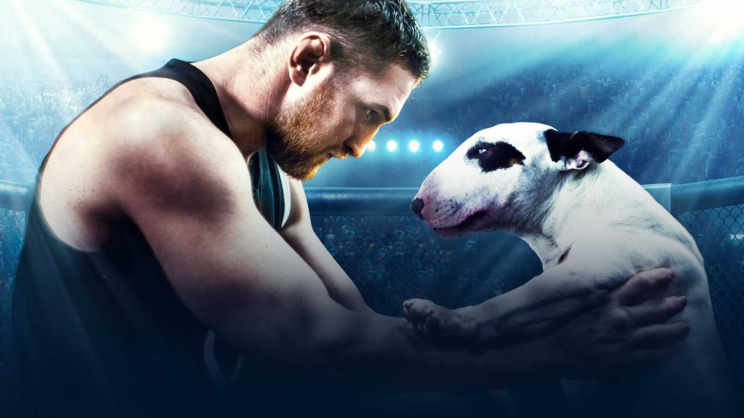 Бультерьер