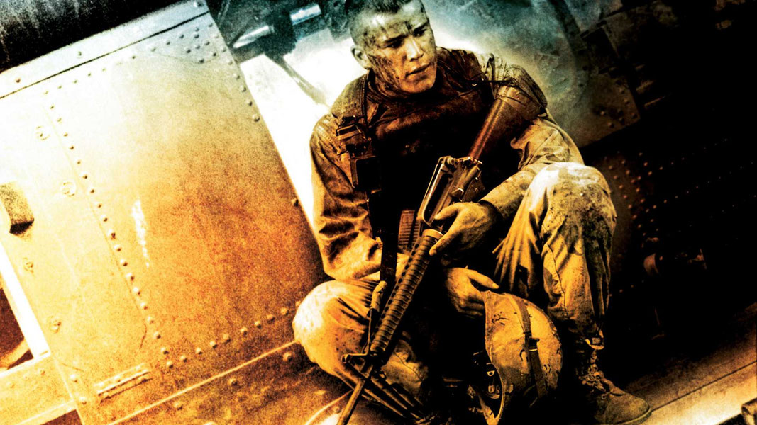 Чёрный ястреб