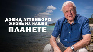 Дэвид Аттенборо: Жизнь на нашей планете