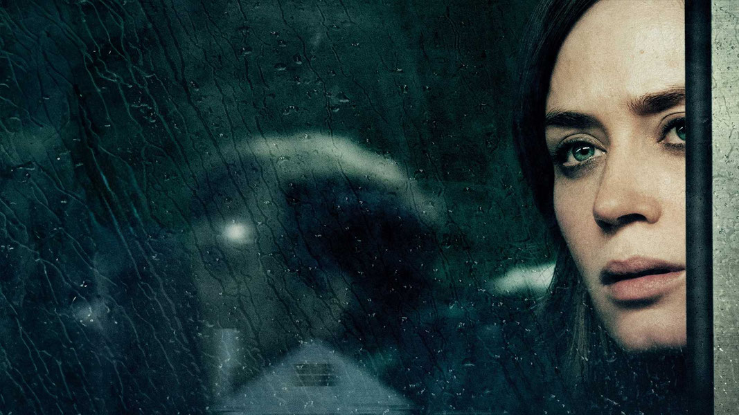 Девушка в поезде