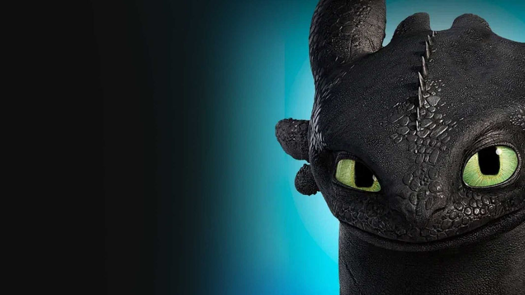 Драконы: Гонки бесстрашных. Начало