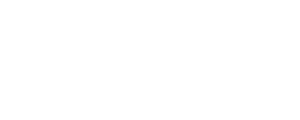 Двойная игра