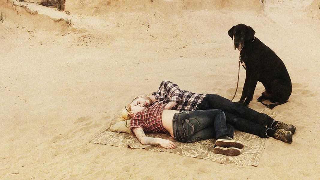 Голубь сидел на ветке, размышляя о бытии