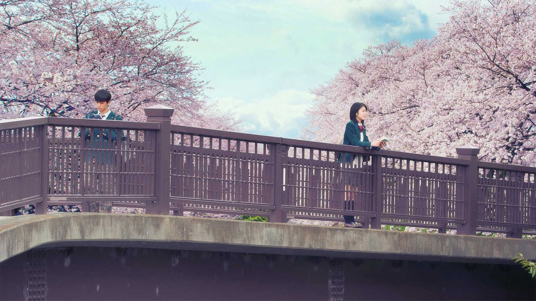 Хочу съесть твою поджелудочную железу