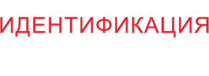 Идентификация Борна