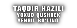 Taqdir hazili yoxud qushdek yengil boling