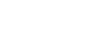 Из моего окна: Новая встреча