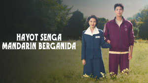 Когда жизнь даёт тебе мандарины