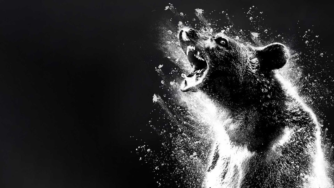 Кокаиновый медведь