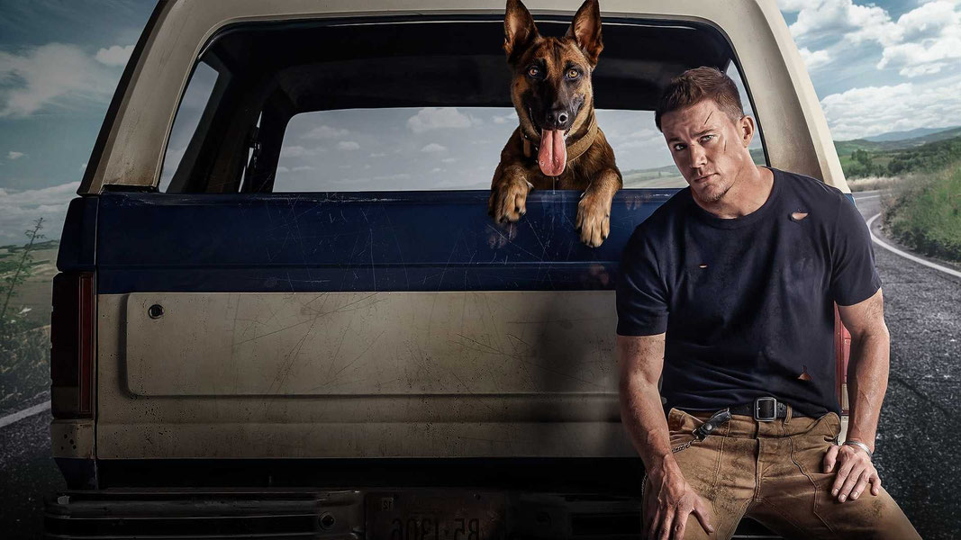 Лулу и Бриггс