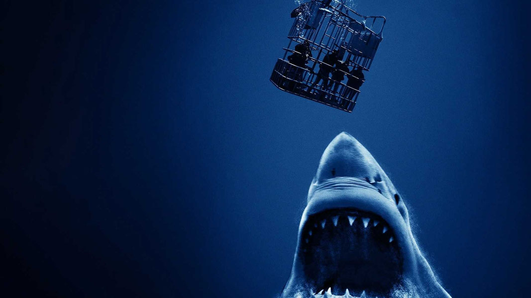 Над глубиной: Хроника выживания