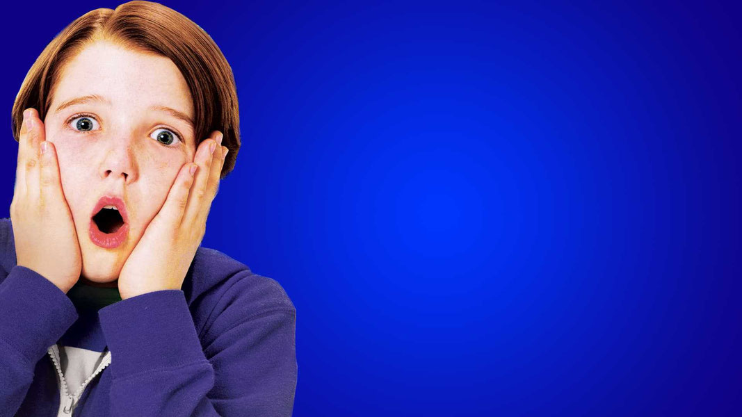 Один дома 5: Праздничное ограбление