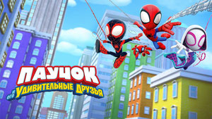 Паучок и его удивительные друзья