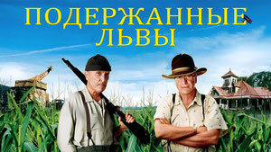 Подержанные львы