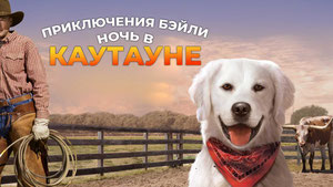 Приключения Бэйли: Ночь в Каутауне