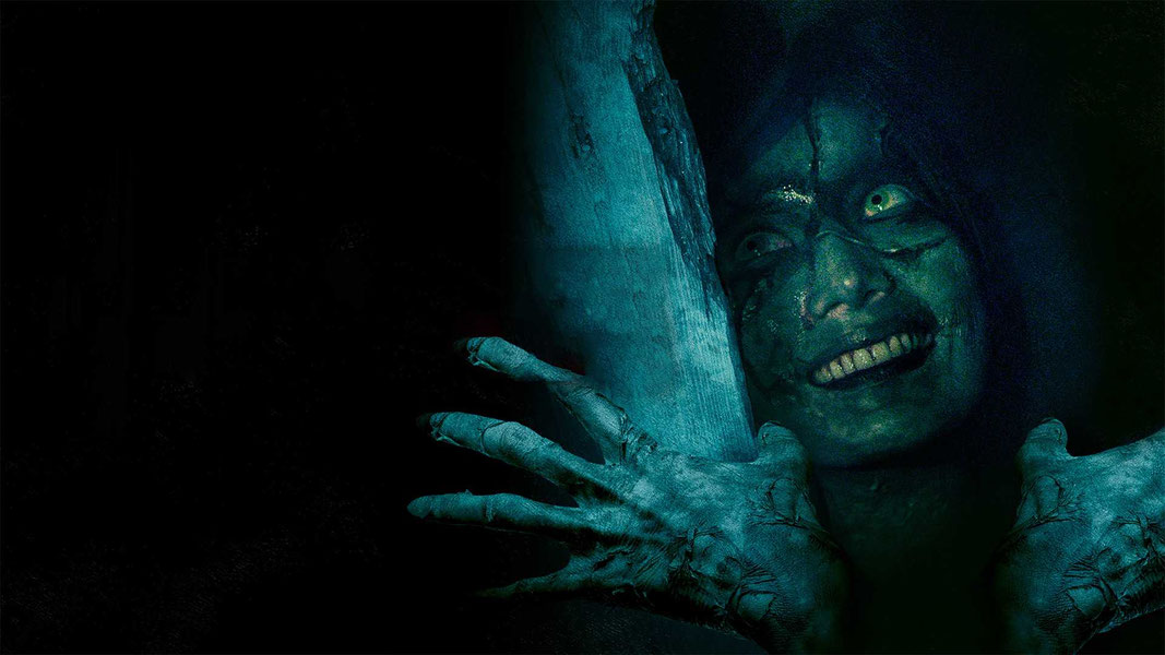 Проклятие. Дом с прислугой